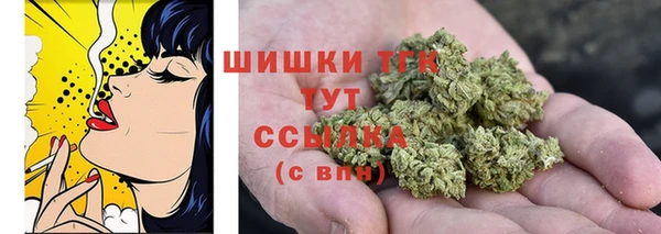 ГАЛЛЮЦИНОГЕННЫЕ ГРИБЫ Алексин