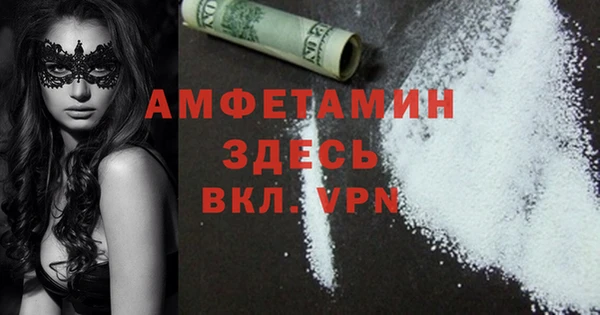 сатива Алзамай